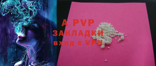 ПСИЛОЦИБИНОВЫЕ ГРИБЫ Краснослободск