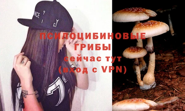 МДПВ Липки